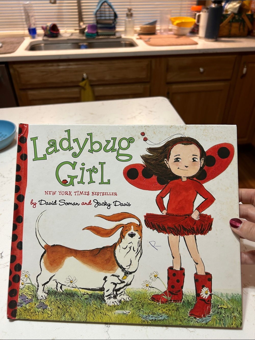 Ladybug Girl Children's Book - Red & White Cover